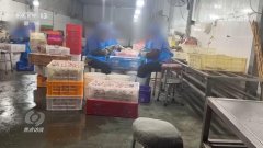  5”晚会川渝部门企